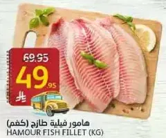 Hamour fish fillet (kg)