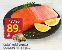 Salmon fillet (kg)