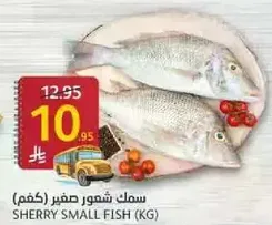 Sherry small fish (kg)