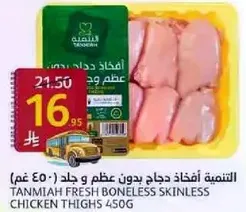 Tanmiah Fresh Boneless Skinless Chicken Thighs 450g
