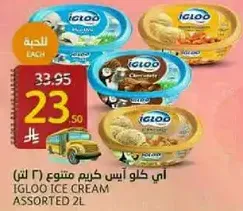 Igloo Ice Cream Assorted 2L
