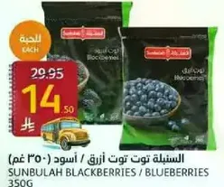 Sunbulah Blackberries / Blueberries 350g