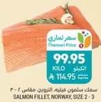 Salmon fillet, Norway, size 2 - 3