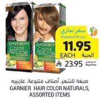 Garnier Hair Color Naturals, assorted items.