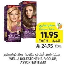 Wella Koleston hair color, assorted items.