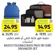 Basics foldable back pack or cube organizer set.