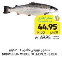 Norwegian whole salmon, 2 - 3 kilo