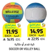 Soccer or volleyball.