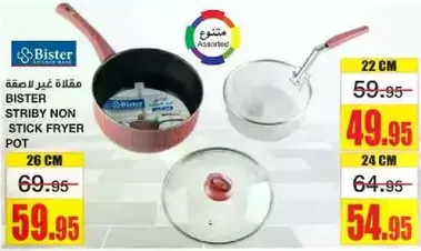 Bister Striby Non Stick Fryer Pot