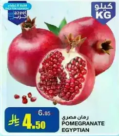 Egyptian Pomegranate