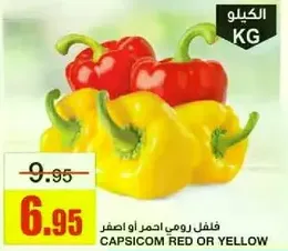 Capsicum red or yellow