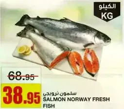 Fresh Norwegian Salmon Fish