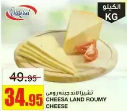 Cheesa Land Roumy Cheese
