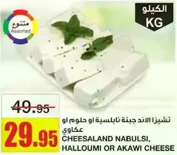 Cheesaland Nabulsi, Halloumi or Akawi Cheese