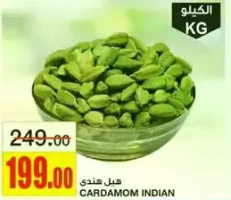 Indian Cardamom