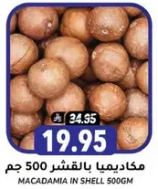 Macadamia in shell 500g