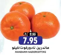 Mandarin Nadorcott per kg.