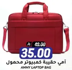 Ammy Laptop Bag