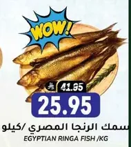 Egyptian Ringa Fish