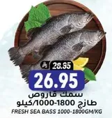 Fresh sea bass 1000-1800g