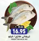 Fresh Trevally