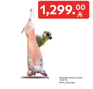 Romani whole 22/25 - per piece