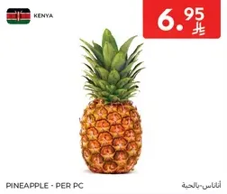 Pineapple - Per PC