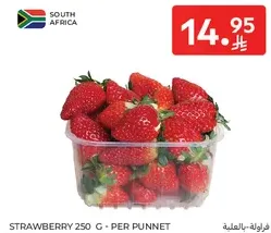 Strawberry 250 G - Per Punnet