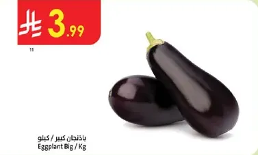 Eggplant Big / Kg