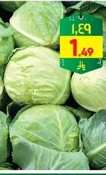 Fresh cabbage, perfect for salads and cooking.