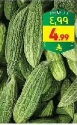Fresh and healthy vegetables.