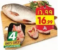 Fresh fish available for a limited time.