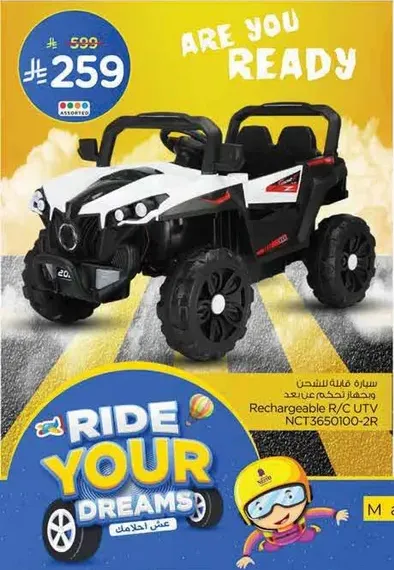 Rechargeable R/C UTV