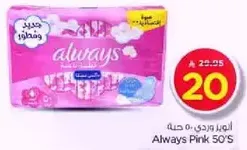 Always Pink 50's