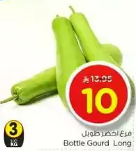Long Bottle Gourd