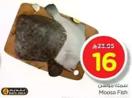 Moosa Fish