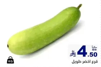 Long green cucumber