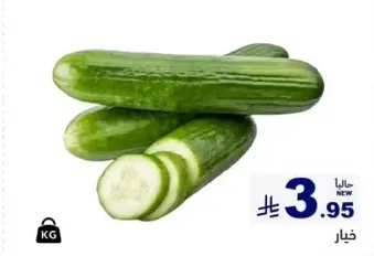 Fresh cucumbers, crunchy and refreshing.