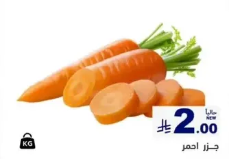 Fresh carrots, perfect for salads and cooking.