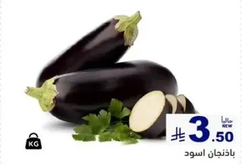 Black eggplant