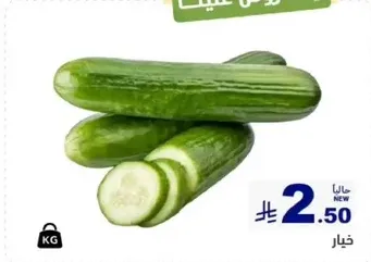 Fresh cucumbers, perfect for salads and snacks.