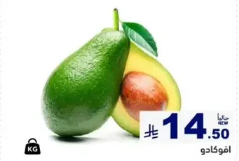 Avocado