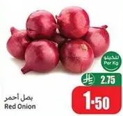 Red Onion