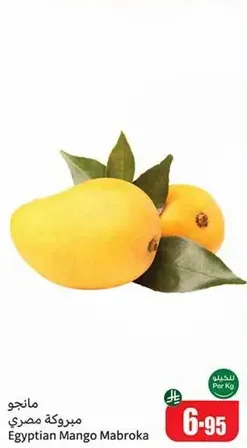 Egyptian Mango Mabroka