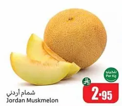 Jordan Muskmelon