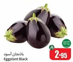 Eggplant Black