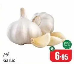 Garlic