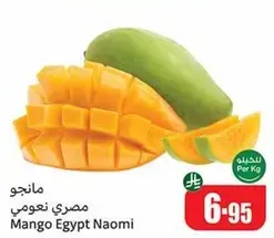 Mango Egypt Naomi