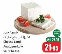 Cheese Land Analogue Low Salt Cheese
