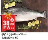Salmon / KG